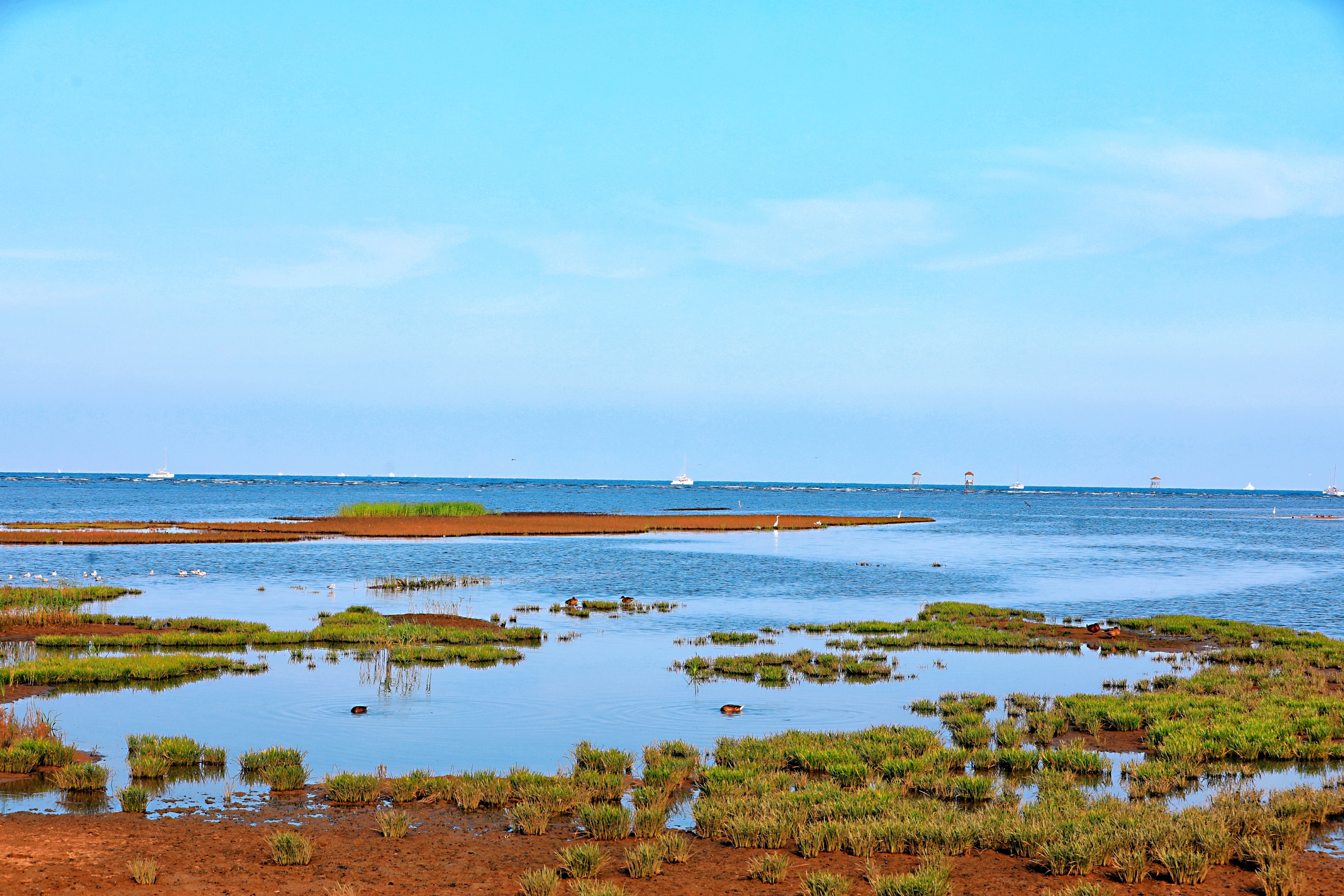 北戴河湿地