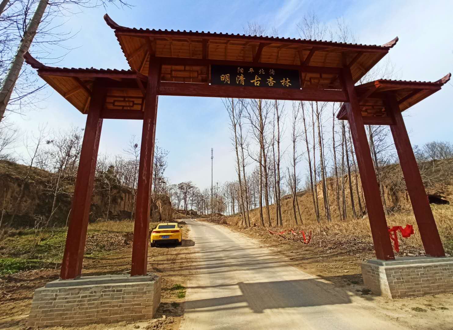 早春三月,别处的春还蛰伏在冷峻的树梢上,河南省灵宝市阳平镇北沟村的