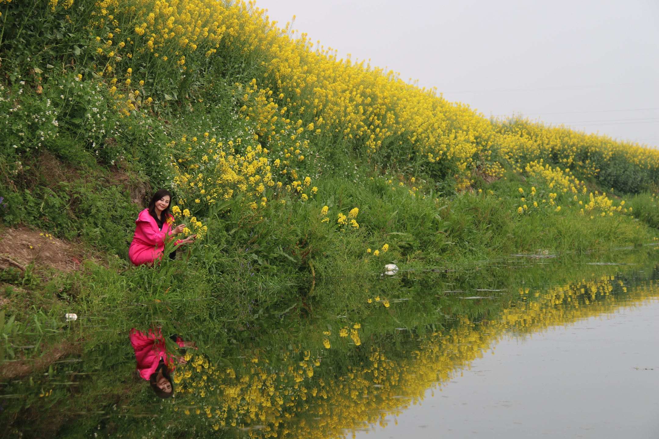 春深似海七一一两河油菜花似海