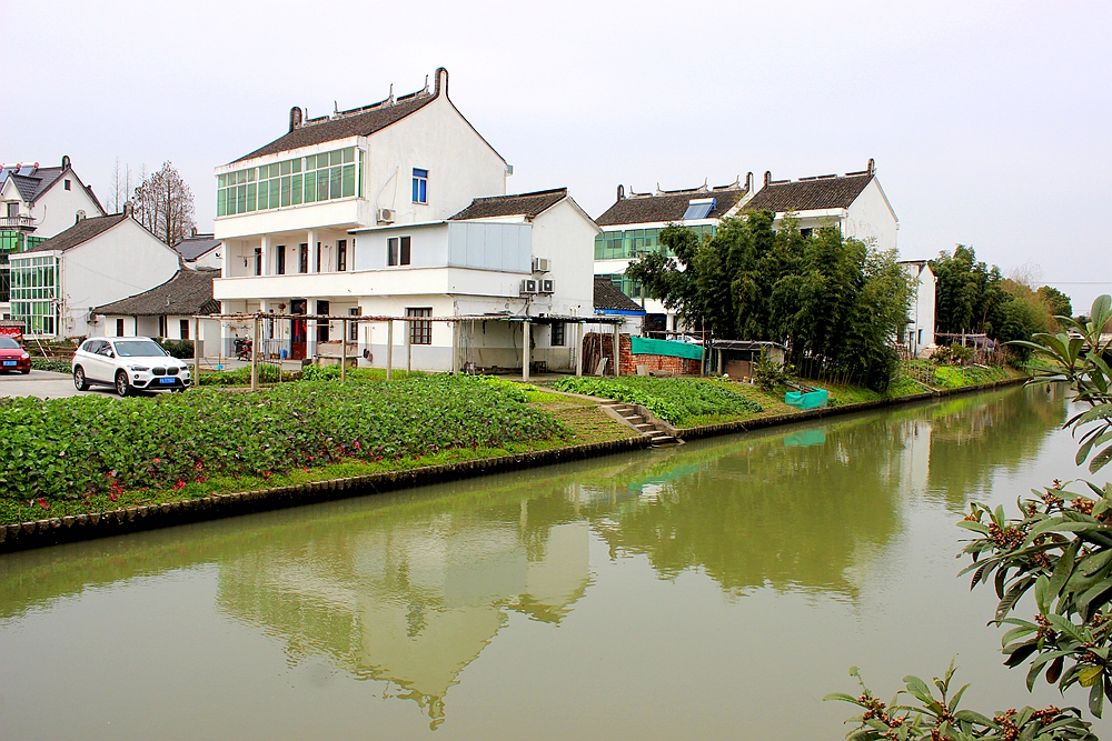 扬中农村图片