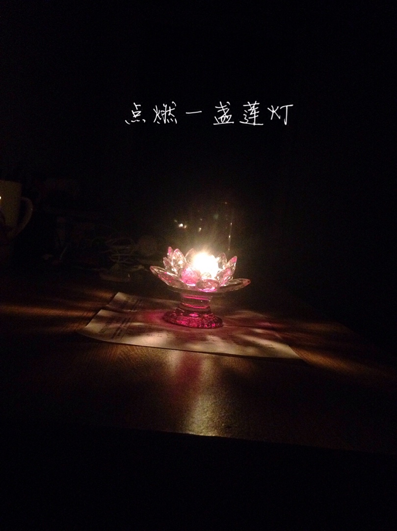 点燃一盏莲灯诗/慧莲梦荷我只是想要一个回眸你却给