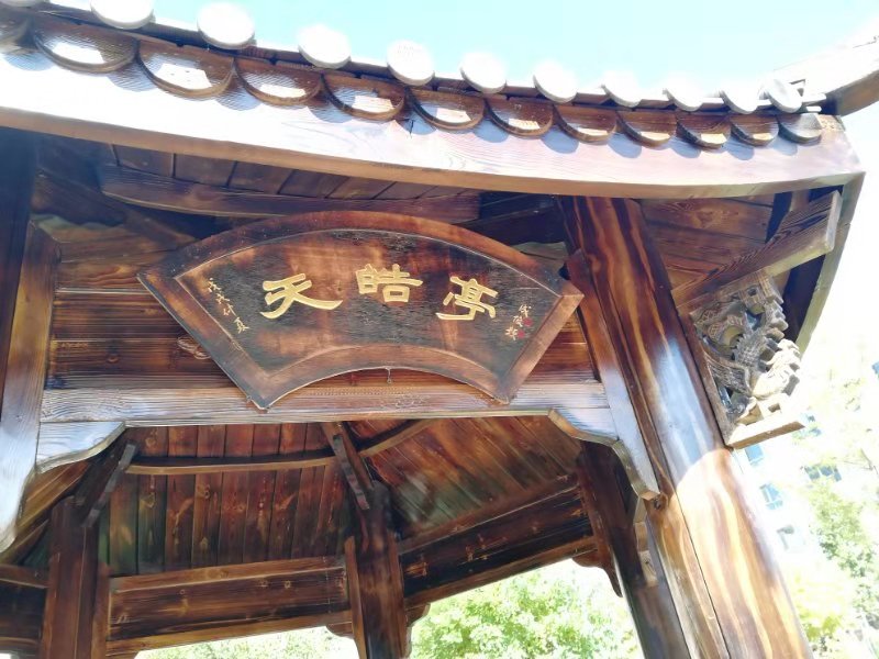 在风景如画的五龙背敬老院,有一座雅致小巧的亭子,名叫天皓亭,其匾额
