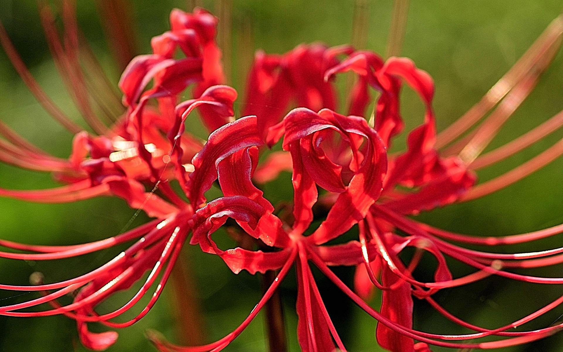 8.3『夜听』好走不送,各自珍重