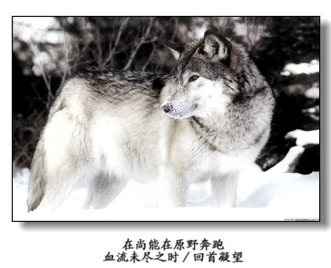 伤感音符布列瑟农