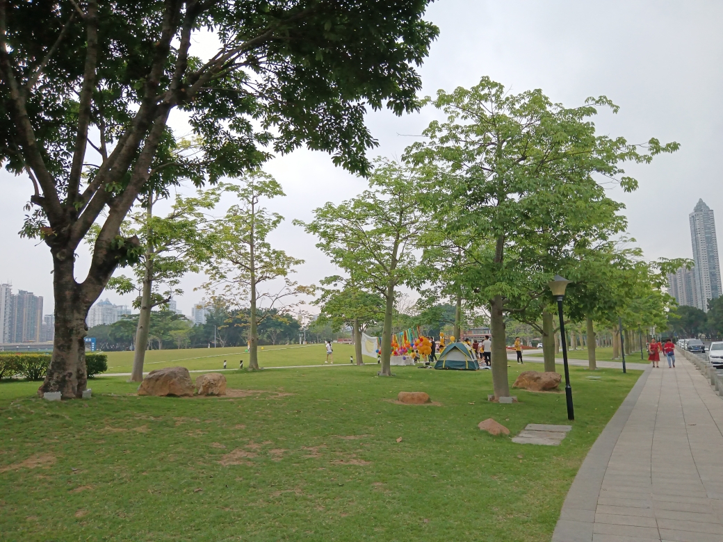 宏城公园二沙岛溜达溜达