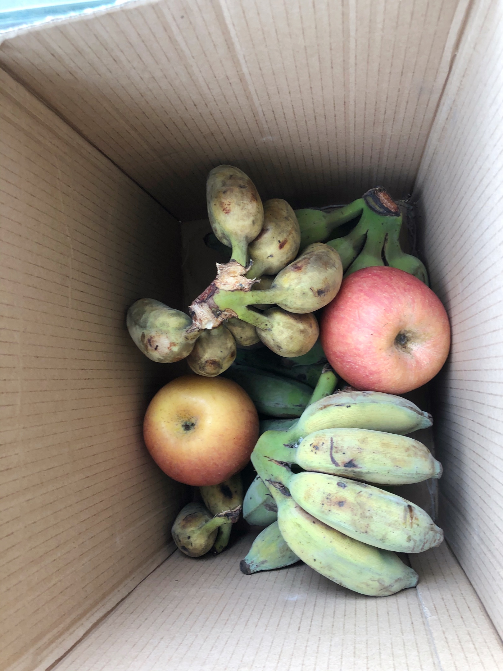 好喝的香蕉奶昔原来是这么做的