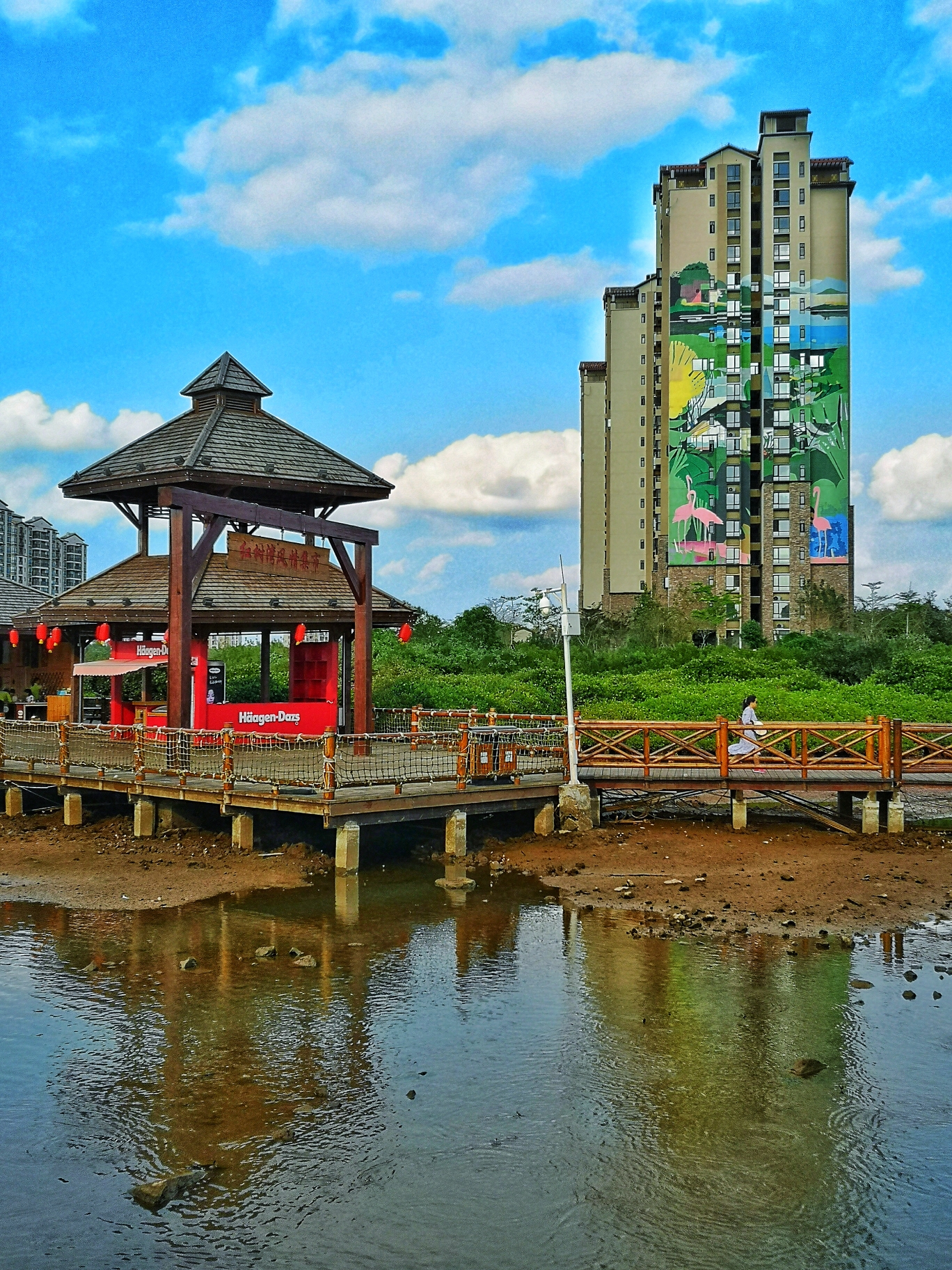 深圳红树湾湿地公园图片