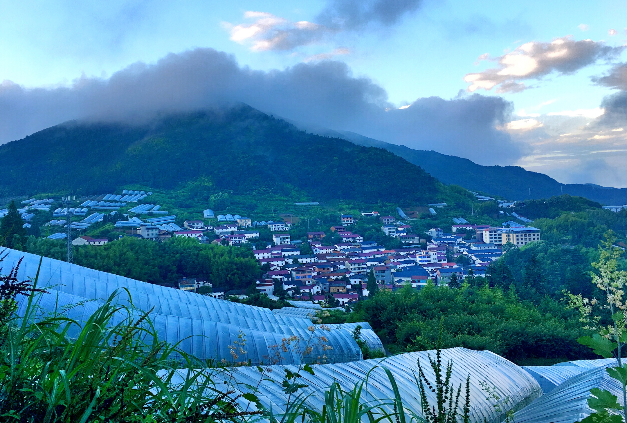 到盘前村,不仅可以旅游避暑,休闲度假,还可以吃到高山绿色蔬菜.