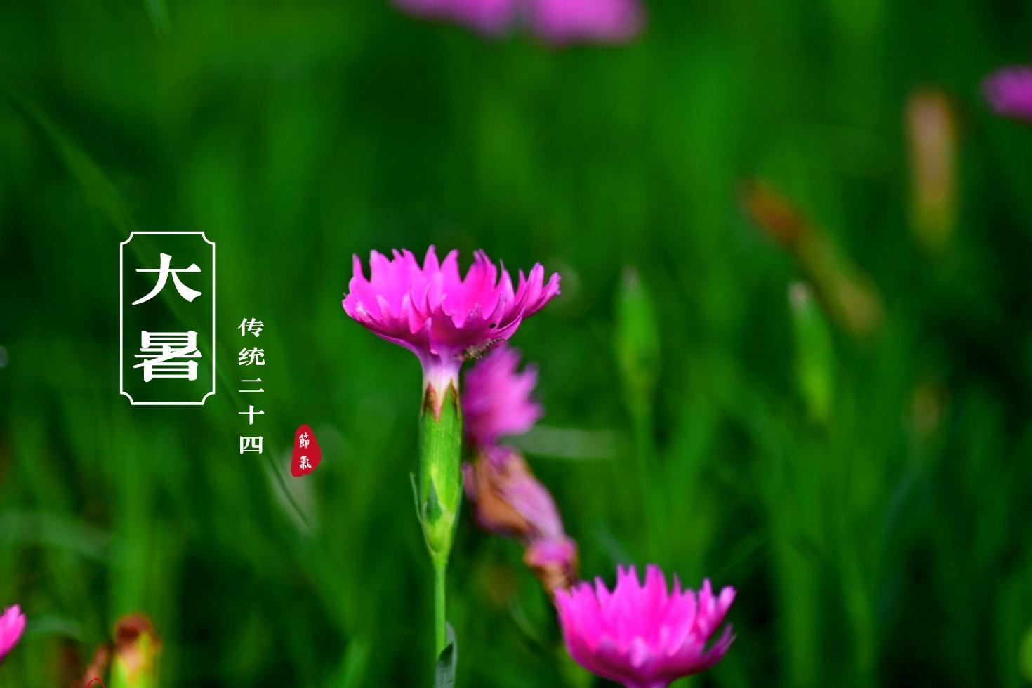 2021年7月22日,大暑!