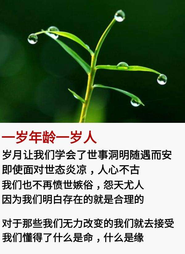 歌曲《一岁年龄一岁人》演唱:浅笑*安然