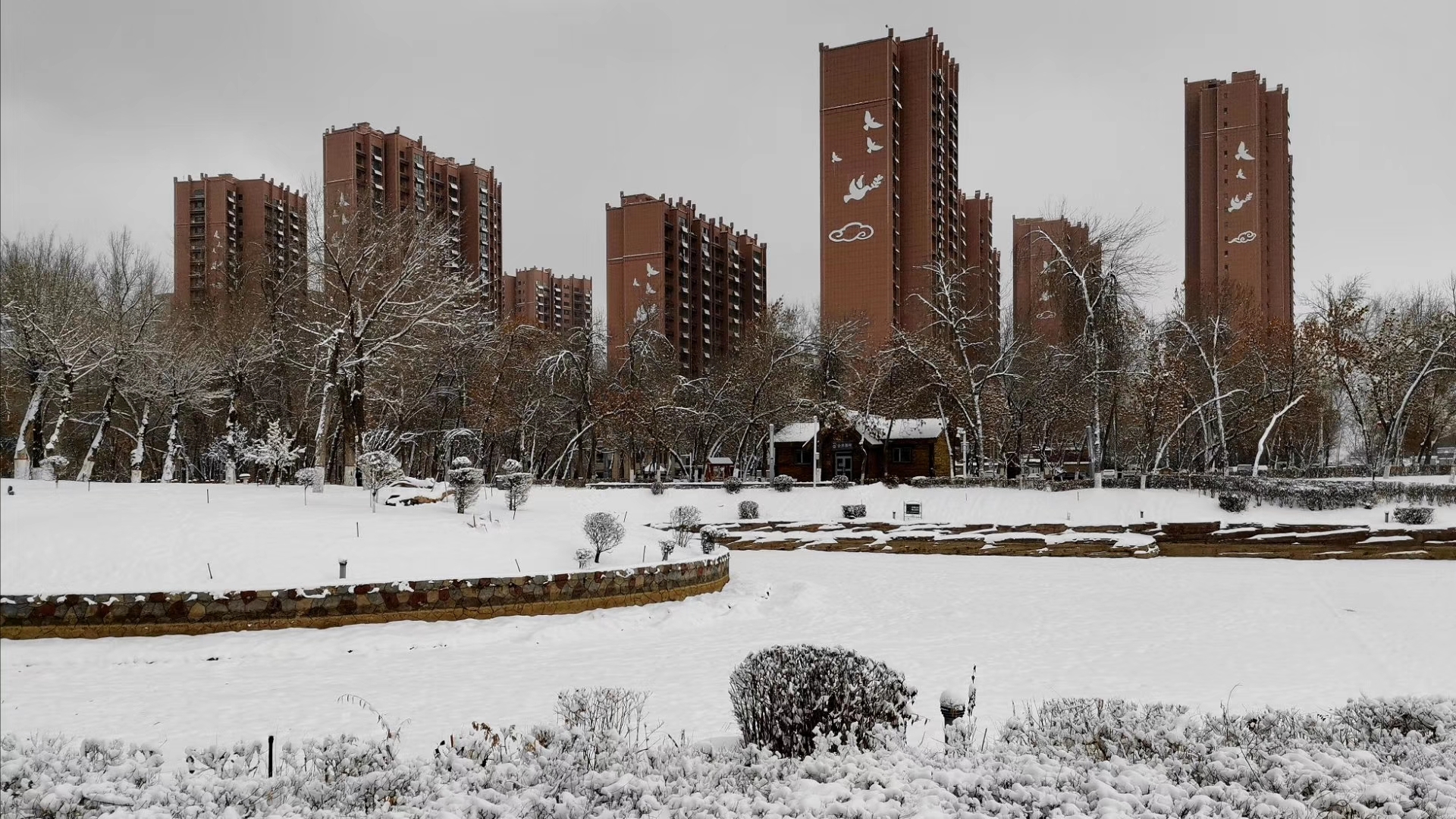 石河子景观河的冬季