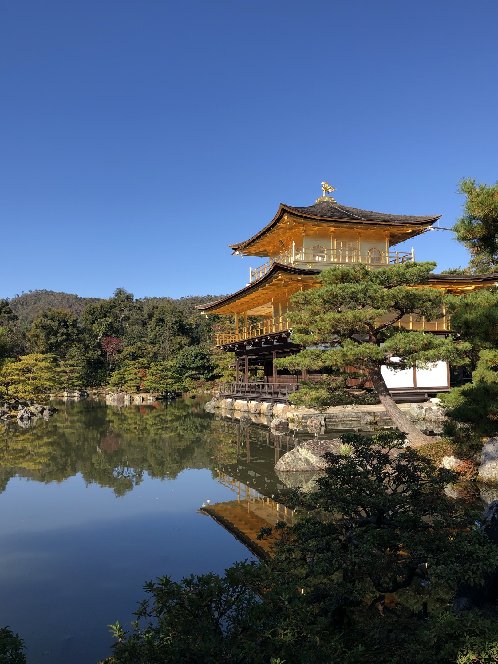 日本旅行6京都金阁寺银阁寺