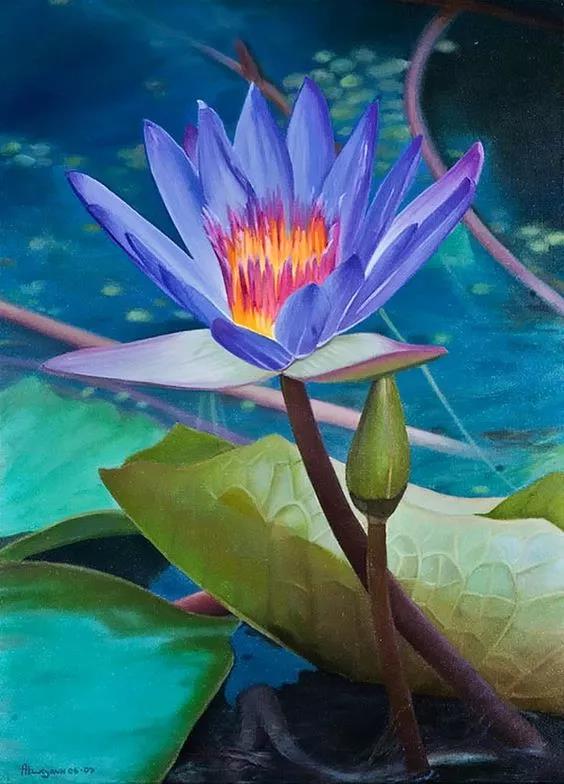 《蓝莲花》埃及池塘蓝睡莲,唐朝盛世华夏传.——《西宫秋怨》