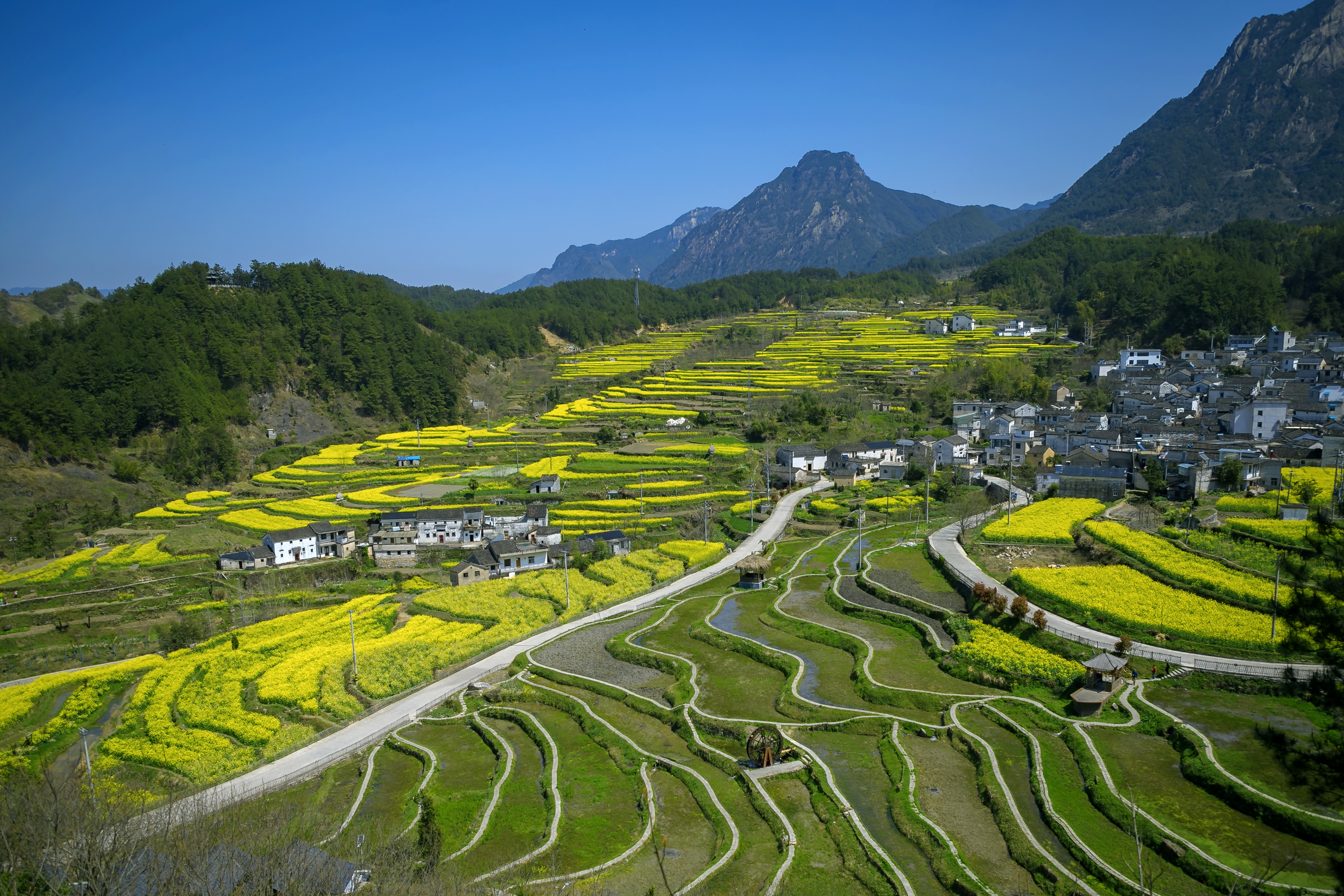 尚村美景在春天(首发)