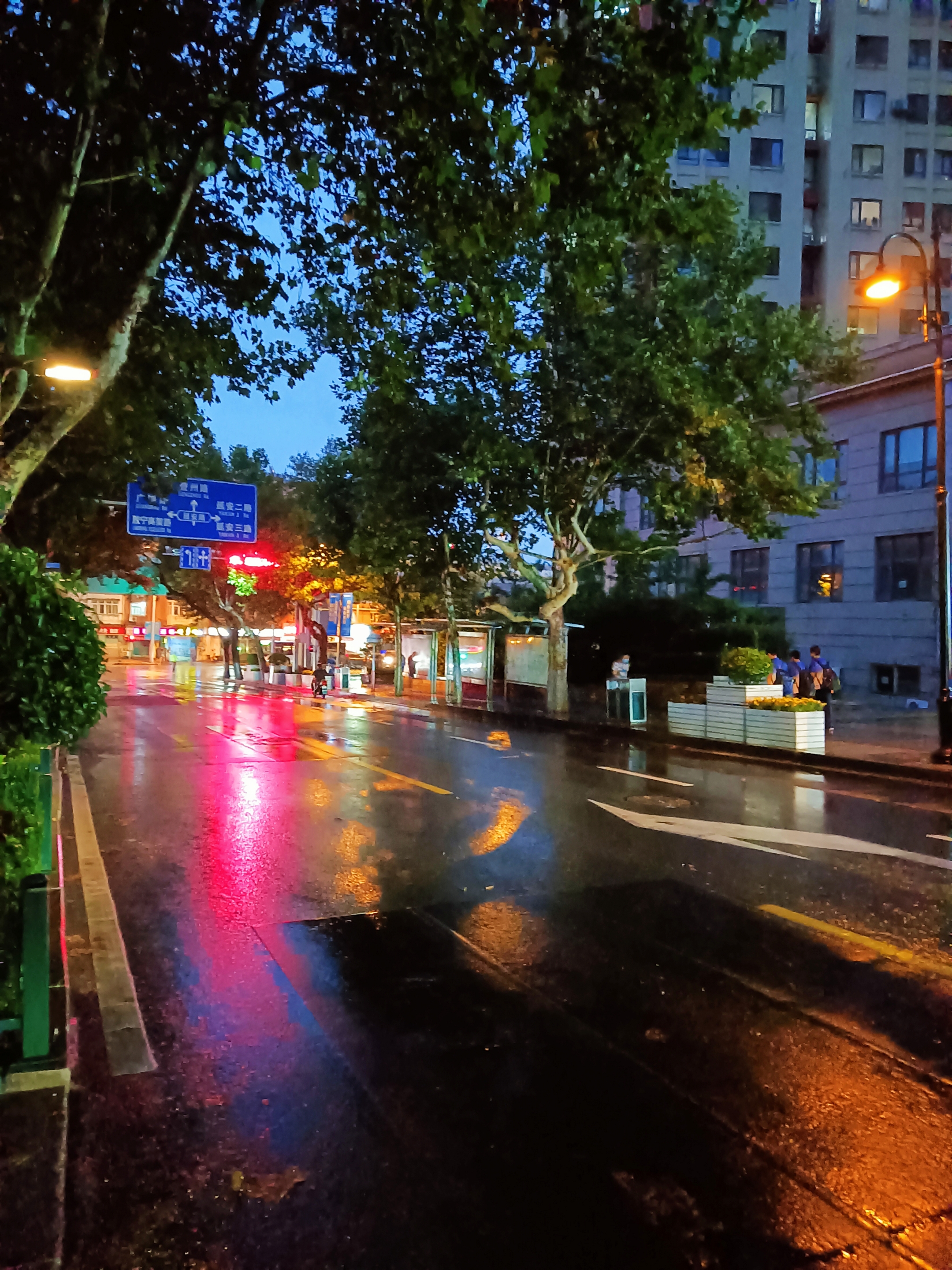 雨中夜景唯美图片