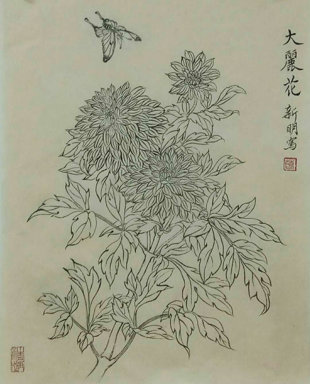 国画白描写生《大丽花》国画写意《秋菊》国画山水《秋山飞瀑》国画