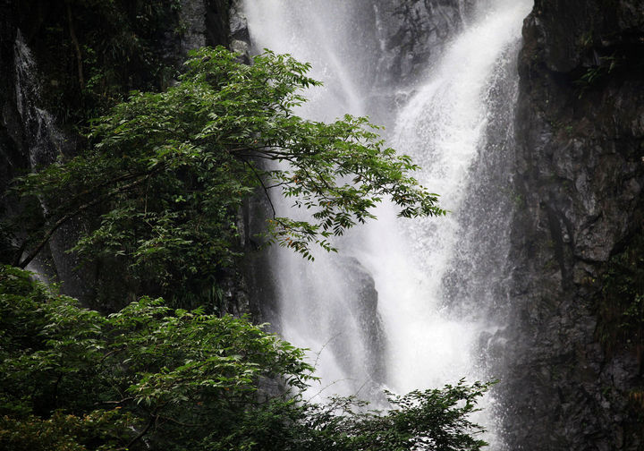 仙瀑有三个瀑布,梅雨瀑最低.