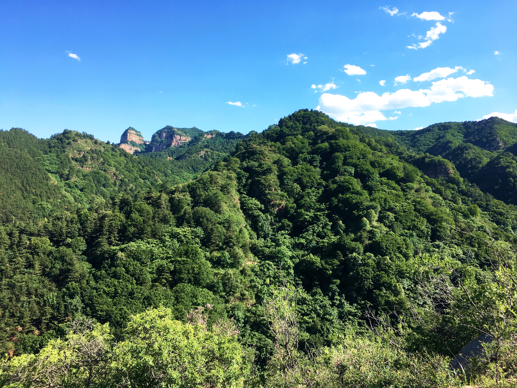 阆中盘龙山图片