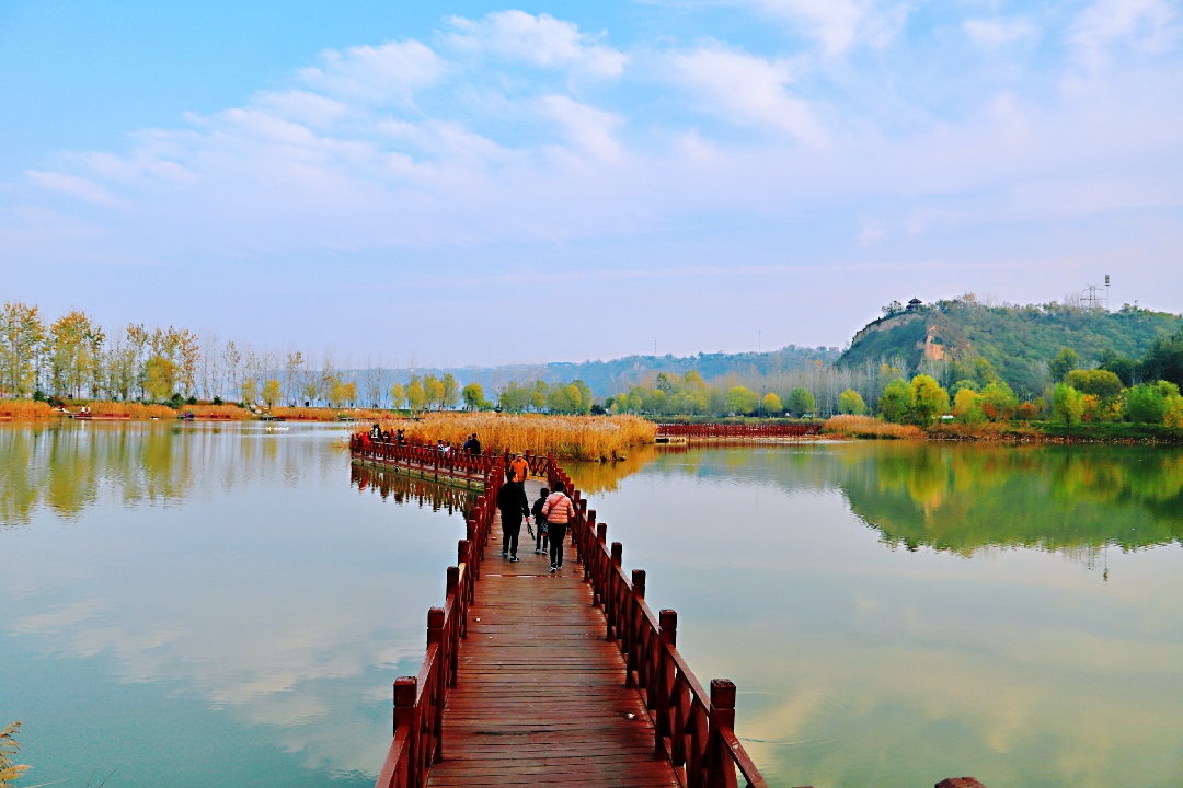 魅力三门峡最美天鹅季