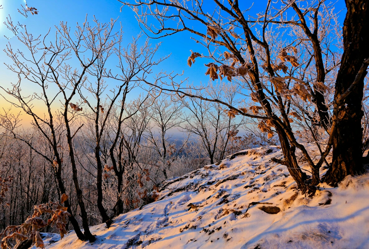 粉妆玉砌东山里
