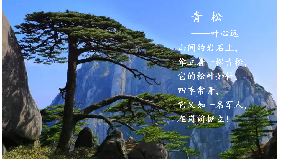 繁星浪花中泰中心小学405班短诗集二――诗歌让我们用明亮的眼睛看