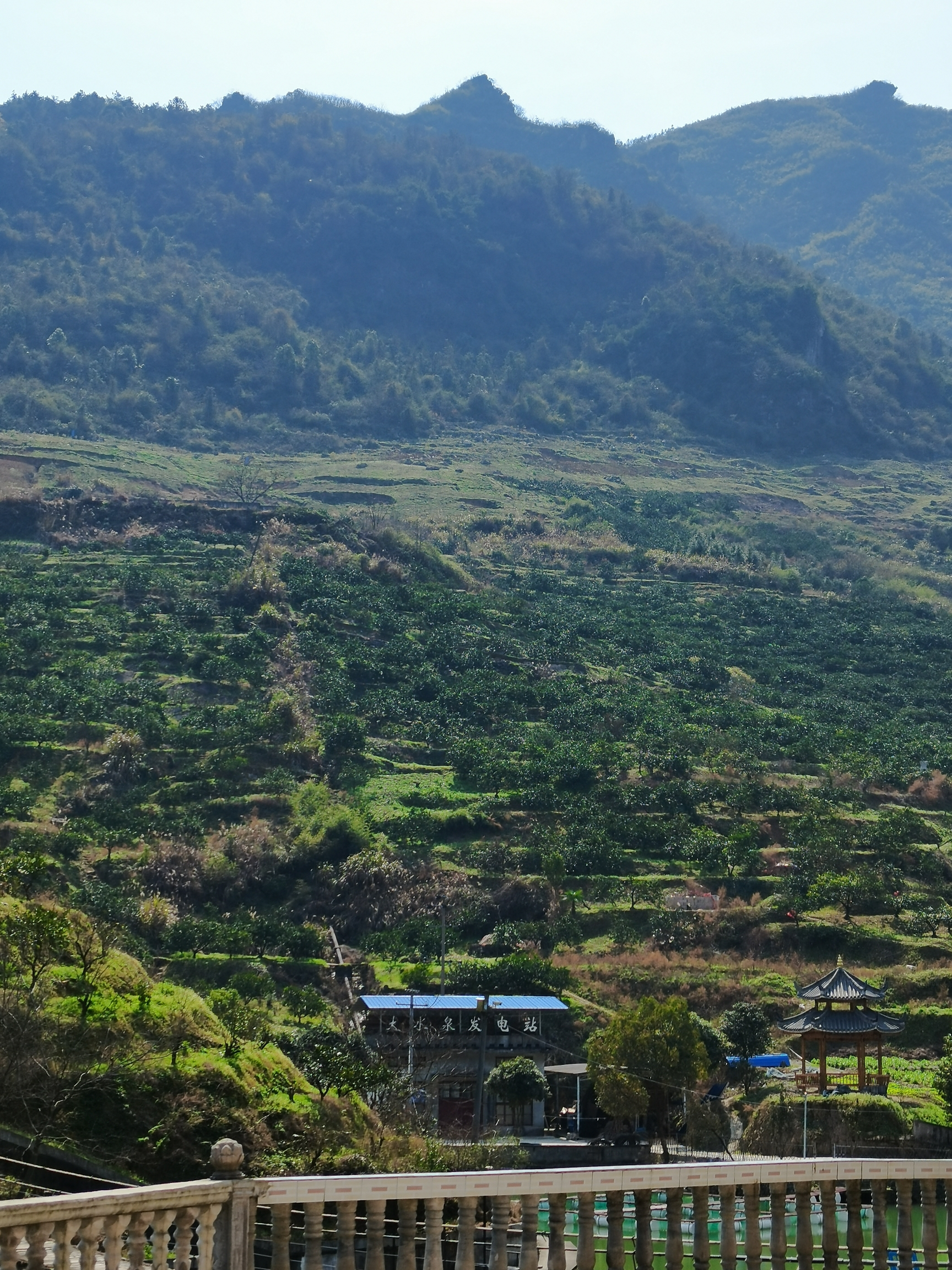大泉山村家乡美