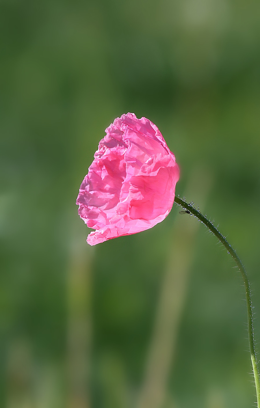 好好说话,是格局,亦是慈悲
