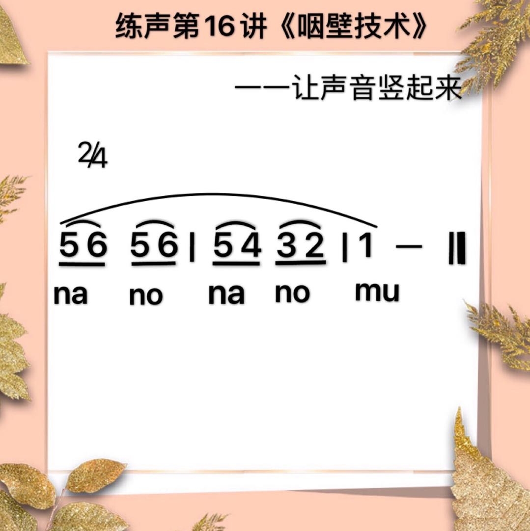 练声专栏图片音频学习资料