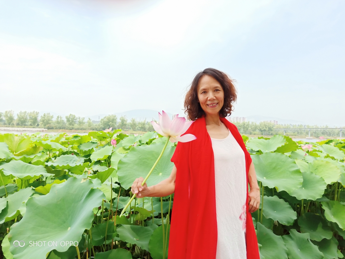 下午,我们又来到东城的涝洰河,看到芦苇长高长大了,有一人多高,有的还
