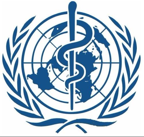 家庭项目式学习