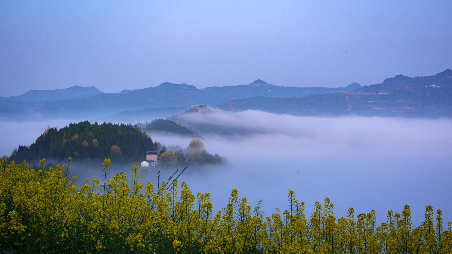 仪陇县芭蕉乡首届咸菜文化音乐节