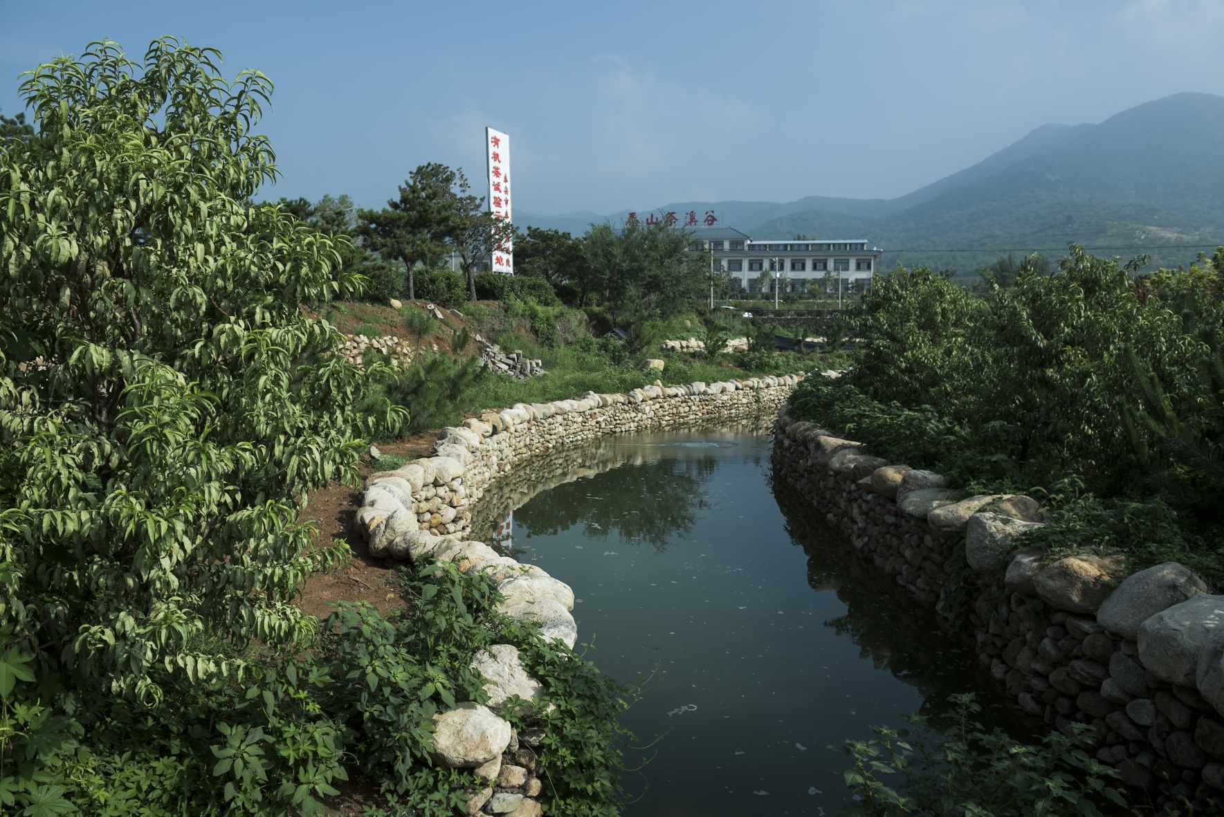 走近泰山茶溪谷