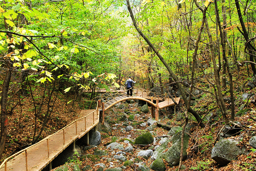 秋游宽甸花脖山一一百瀑峡