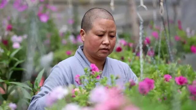 把曾经破烂的寂照庵修成了她内心的样子几十年来,妙慧法师凭借一颗