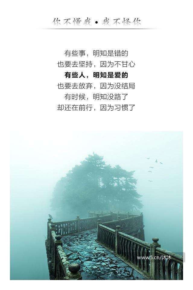 配乐散文你不懂我我不怪你作者余秋雨朗诵老荣