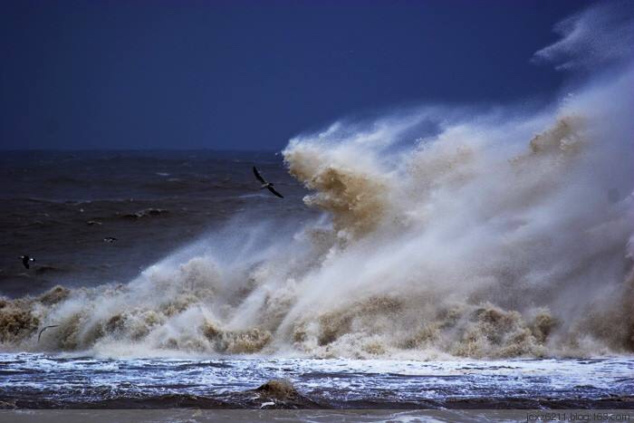 海燕搏击暴风雨图片图片