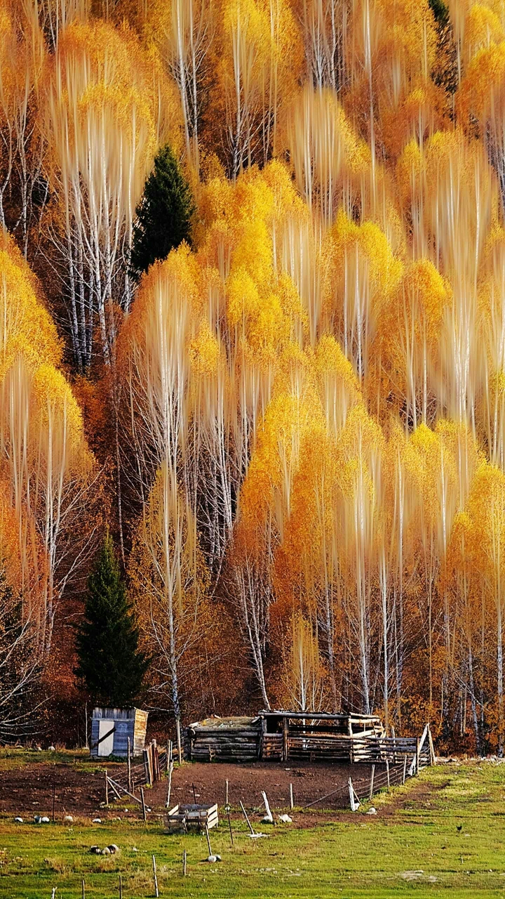 出去走走,到处看看.就会发现美