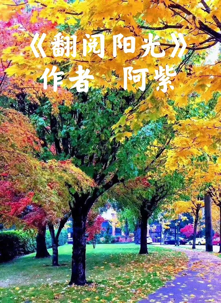 国庆特刊 与国同庆 诗咏百年 盛世华章 一一诗人阿紫经典作品朗诵会