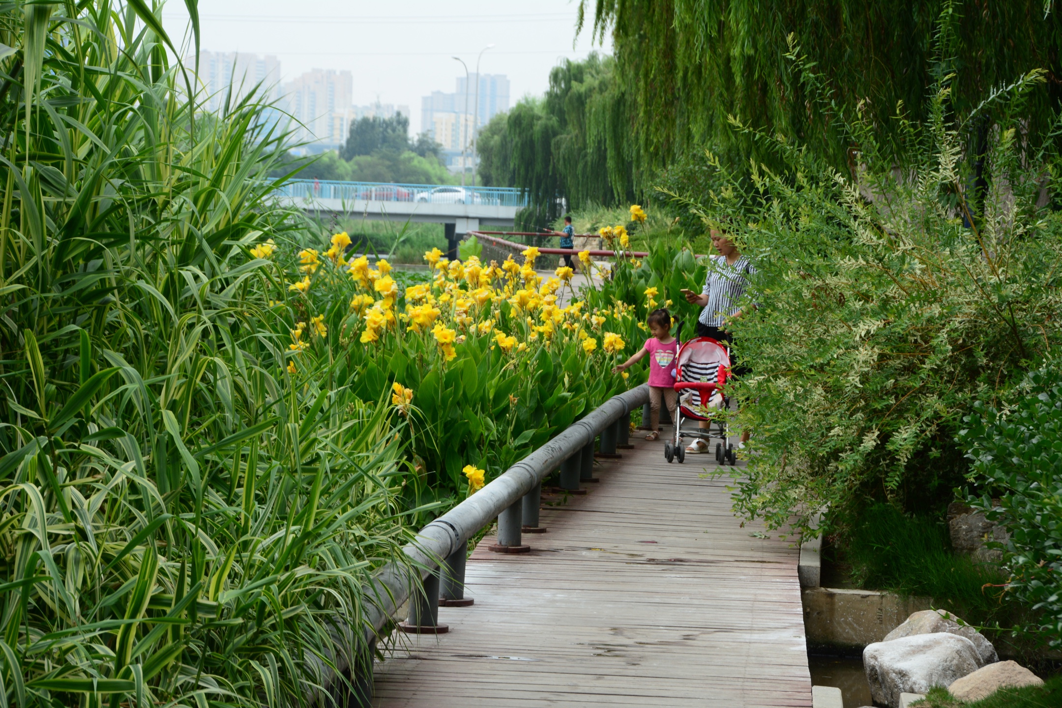 《李村滨河公园》～青岛夏日好去处