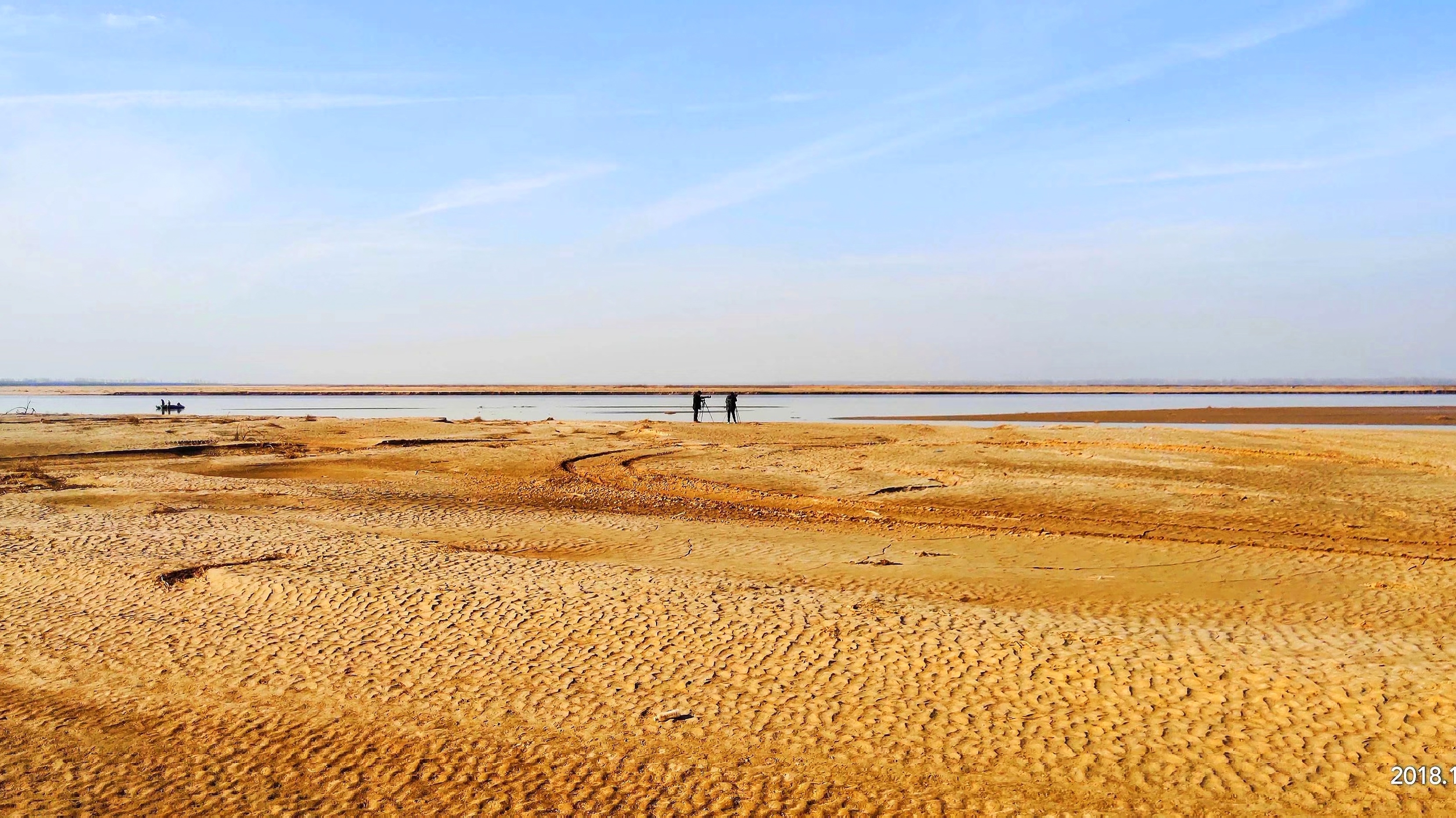 黄河滩涂拍灰鹤【原创首发】