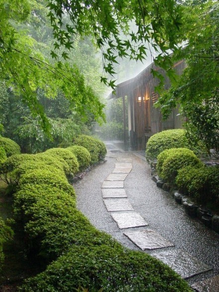 雨中即景图片配诗图片