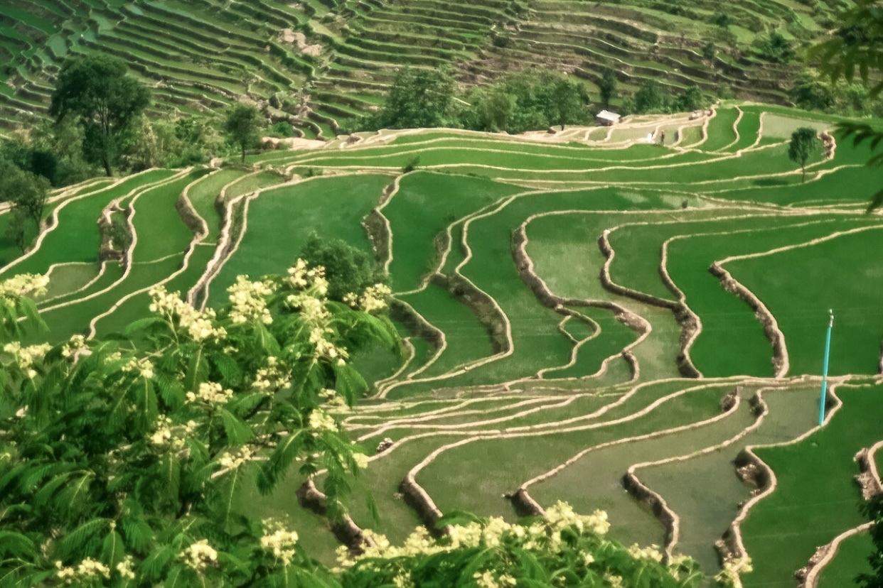 【首发】乡村梯田风光(二)