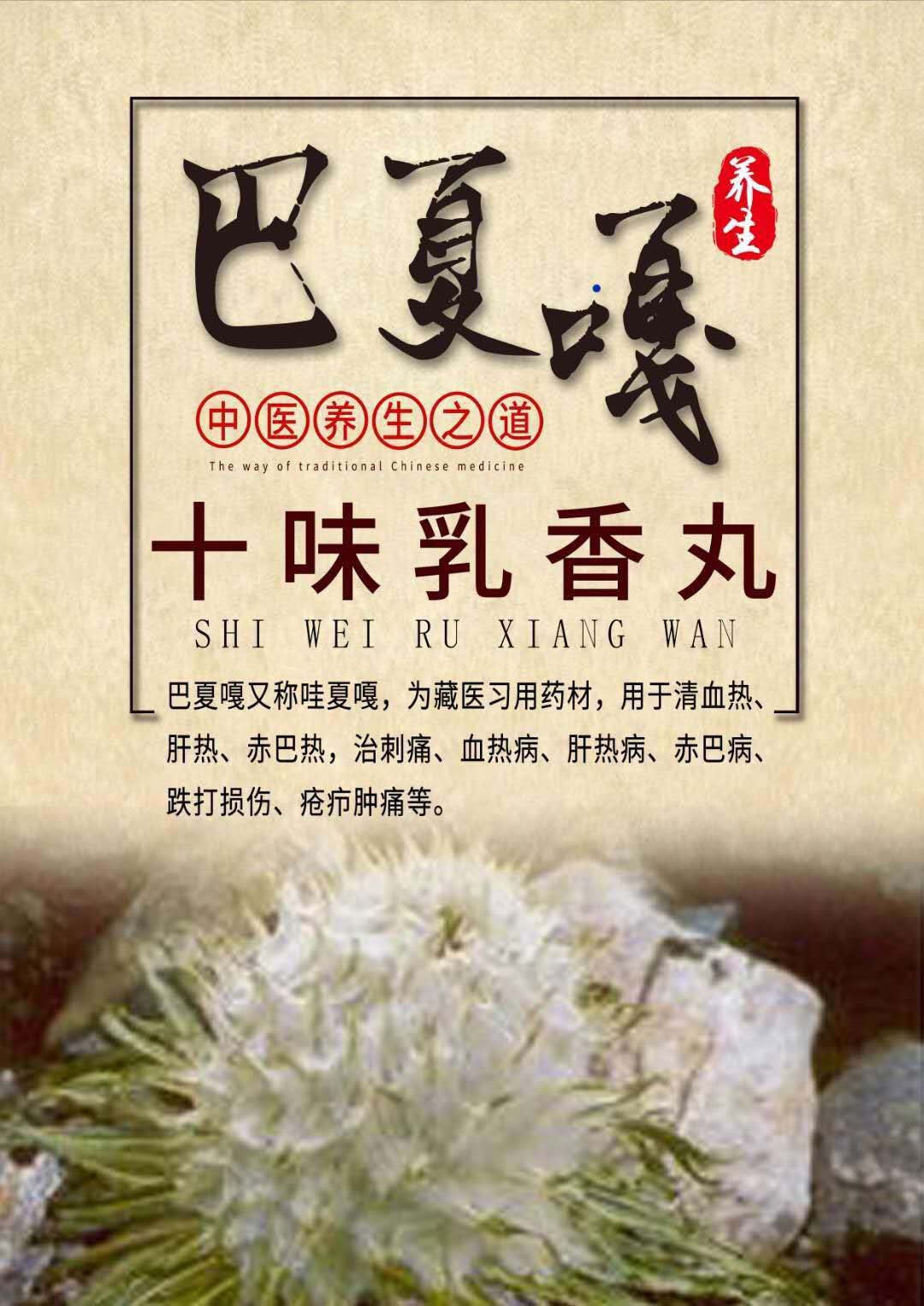 藏药奇方十味乳香丸广大风友的福音