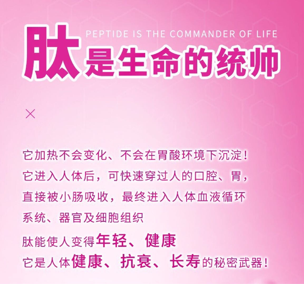 肽对人体起到的重要作用人体不可缺肽