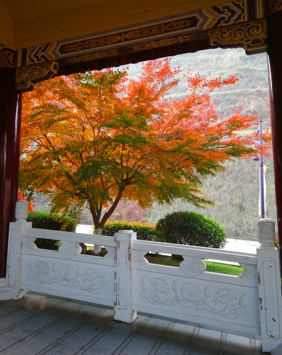 大觉寺