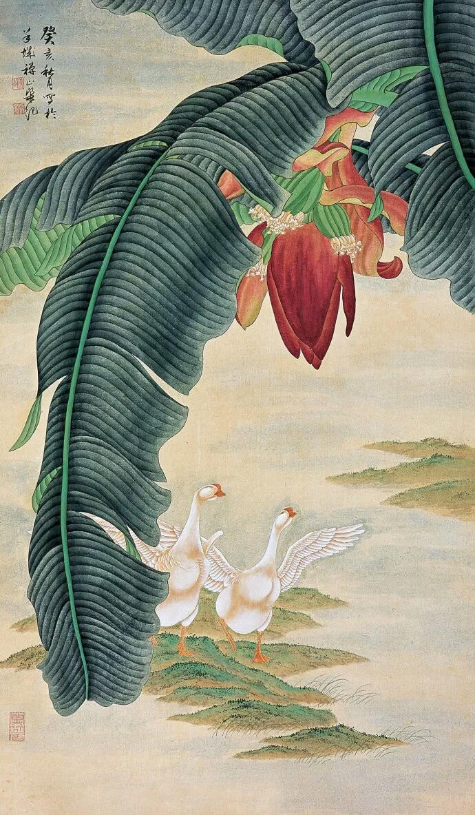 中国近现代画家梁纪花鸟画精选作品赏析