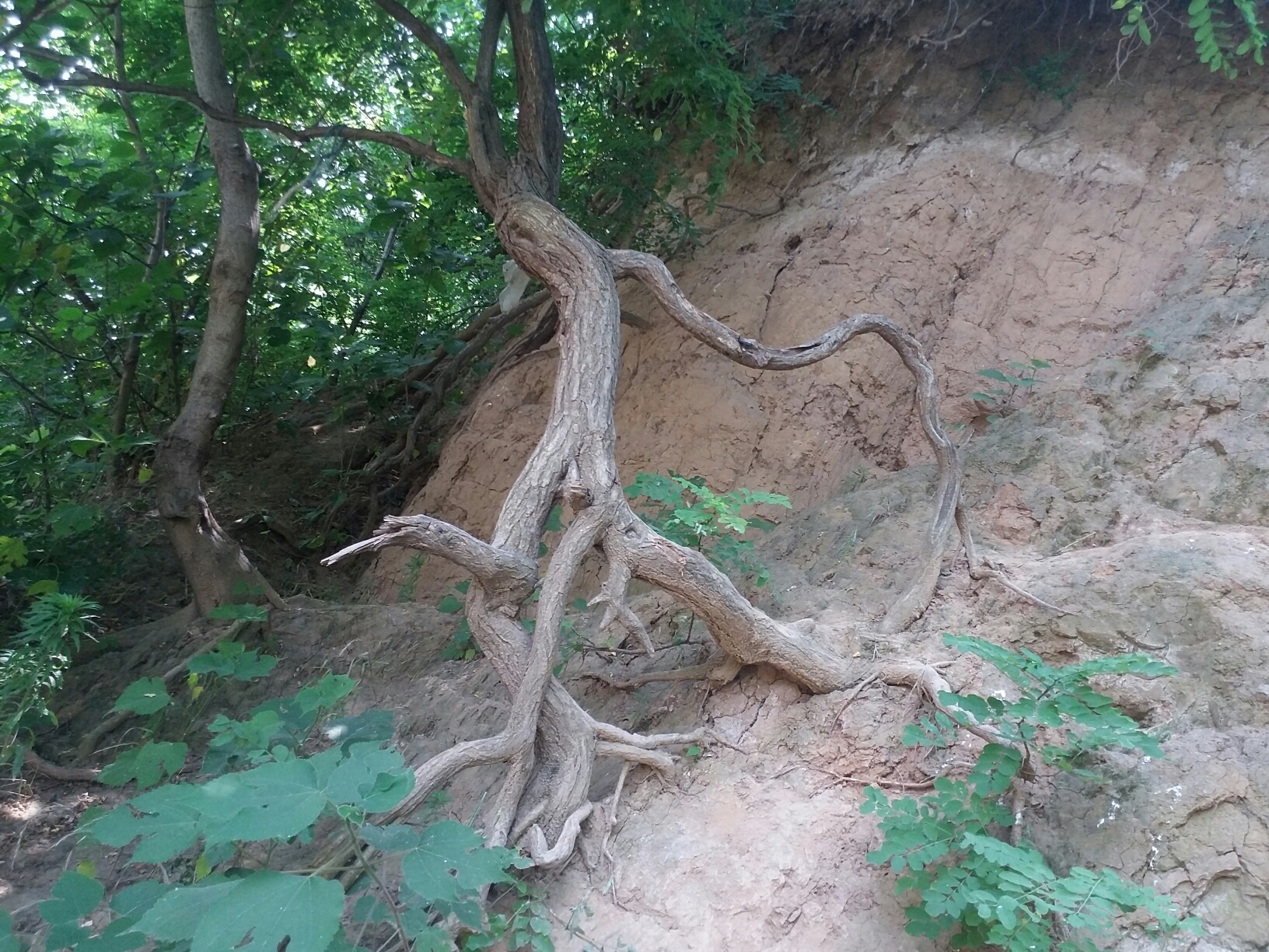 思陵冢曹植墓淮阳县城南二环路北