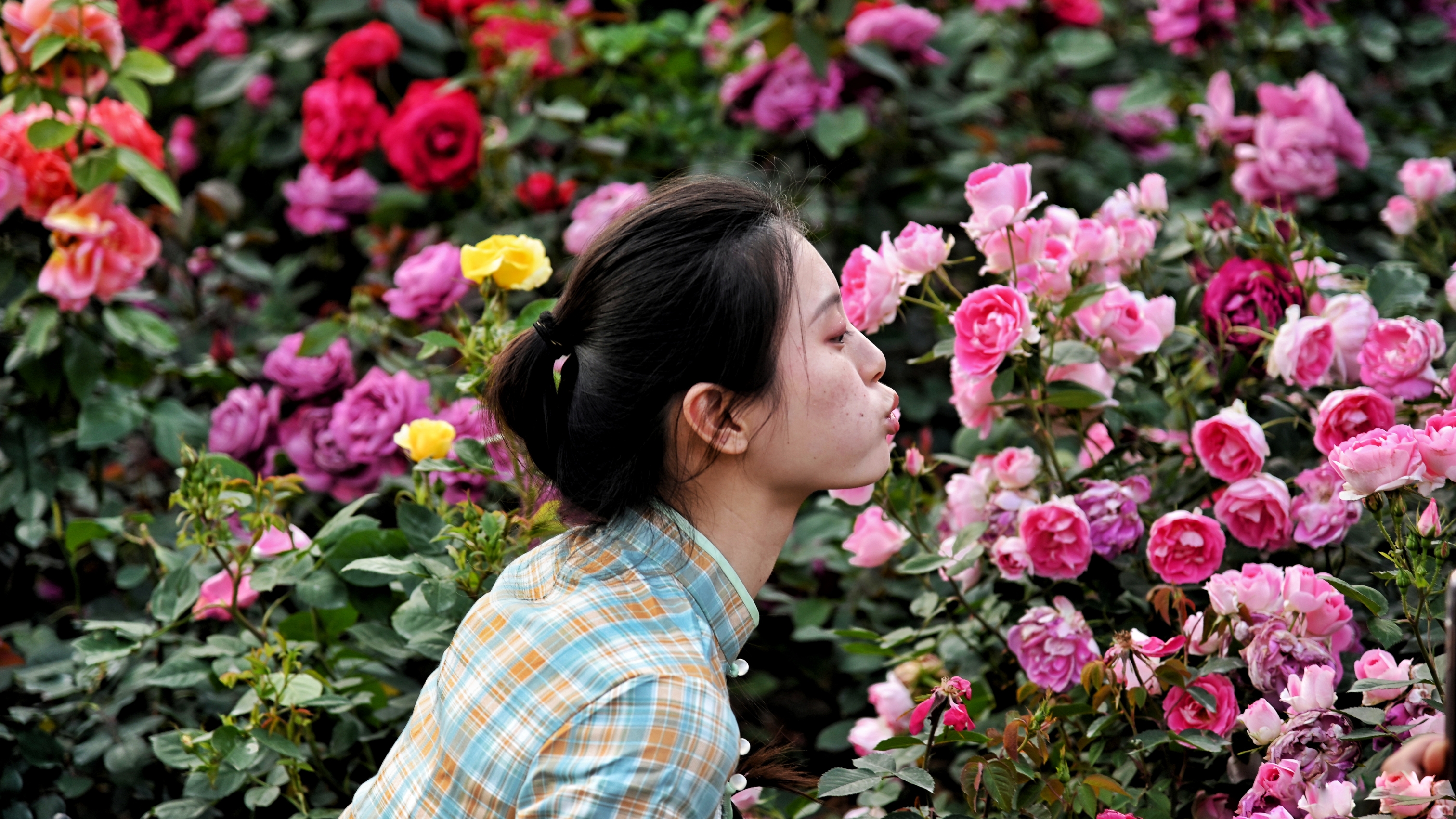 她在花丛中……《首发》
