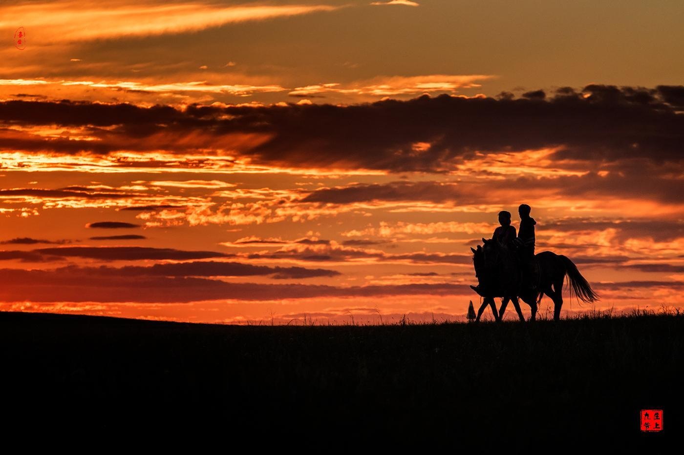 为您歌唱:《草原夜色美》
