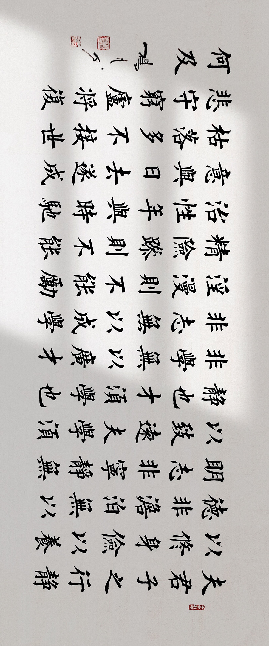 书法家杨凡作品楷书诫子书